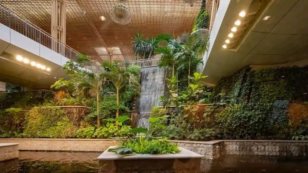 Beautiful Garden Landscape in Bangalore